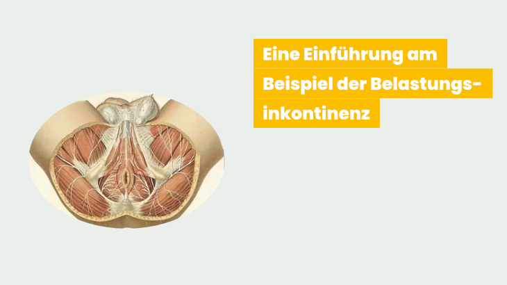 BM-Balance: Der Beckenboden im Gesamtsystem Mensch