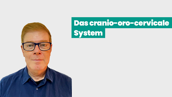 Das cranio-oro-cervicale System und seine Beziehung zur Körperhaltung