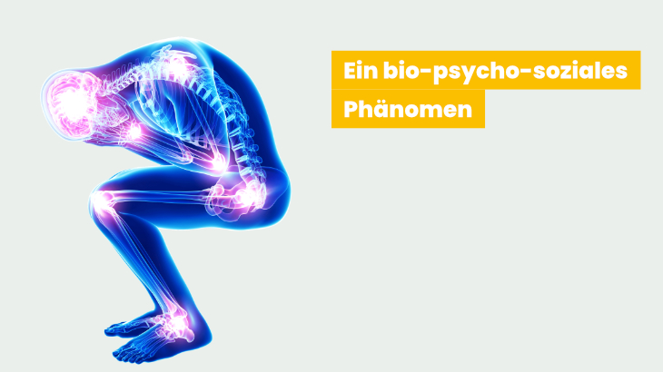 Gehirn und Schmerzen