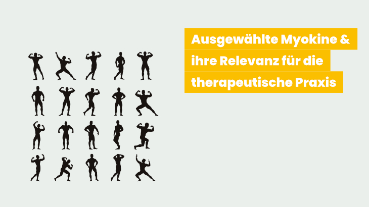 Myokine in der Therapie