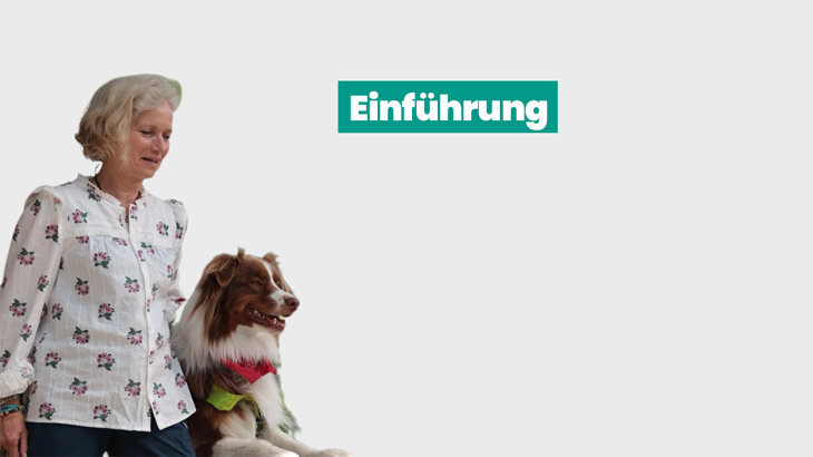 Therapiebegleithund für Therapeut:innen